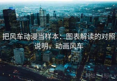 把风车动漫当样本：图表解读的对照说明，动画风车
