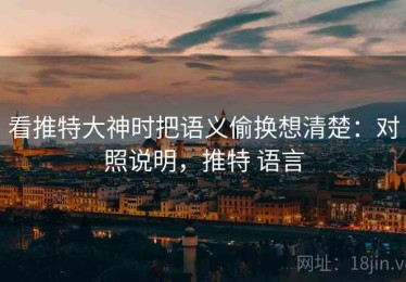 看推特大神时把语义偷换想清楚：对照说明，推特 语言