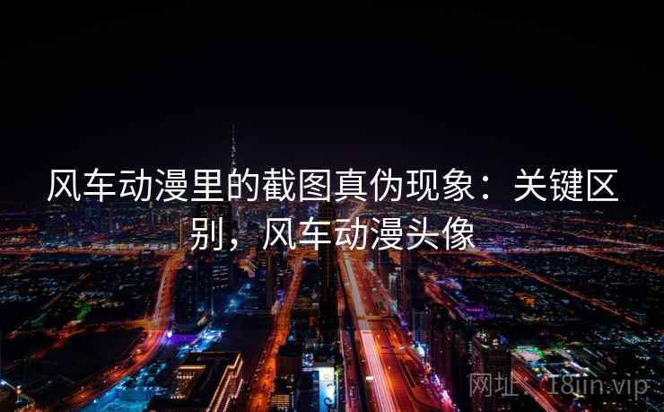 风车动漫里的截图真伪现象：关键区别，风车动漫头像