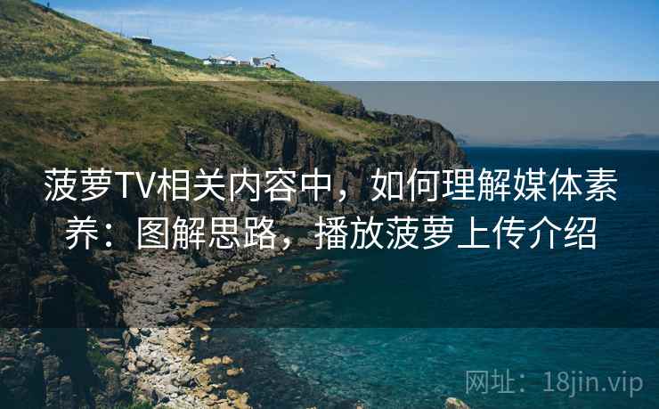 菠萝TV相关内容中，如何理解媒体素养：图解思路，播放菠萝上传介绍
