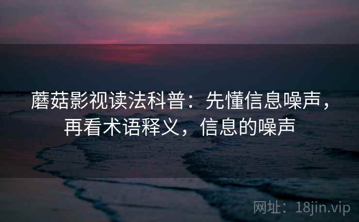 蘑菇影视读法科普：先懂信息噪声，再看术语释义，信息的噪声