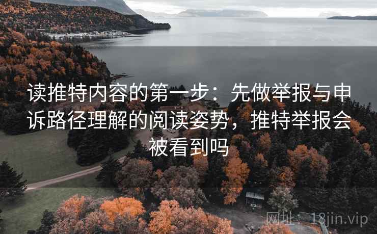 读推特内容的第一步：先做举报与申诉路径理解的阅读姿势，推特举报会被看到吗