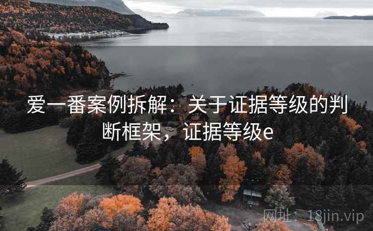 爱一番案例拆解:关于证据等级的判断框架,证据等级e 爱一番案例拆解:关于证据等级的判断框架,证据等级e