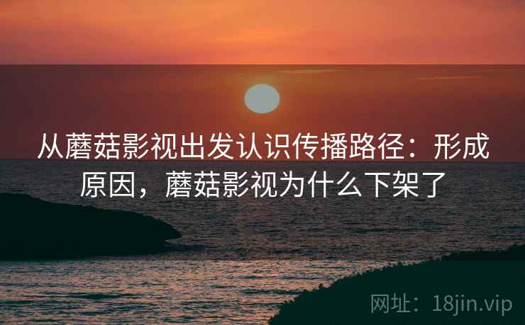 从蘑菇影视出发认识传播路径：形成原因，蘑菇影视为什么下架了