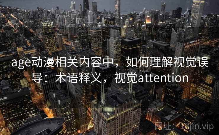 age动漫相关内容中，如何理解视觉误导：术语释义，视觉attention