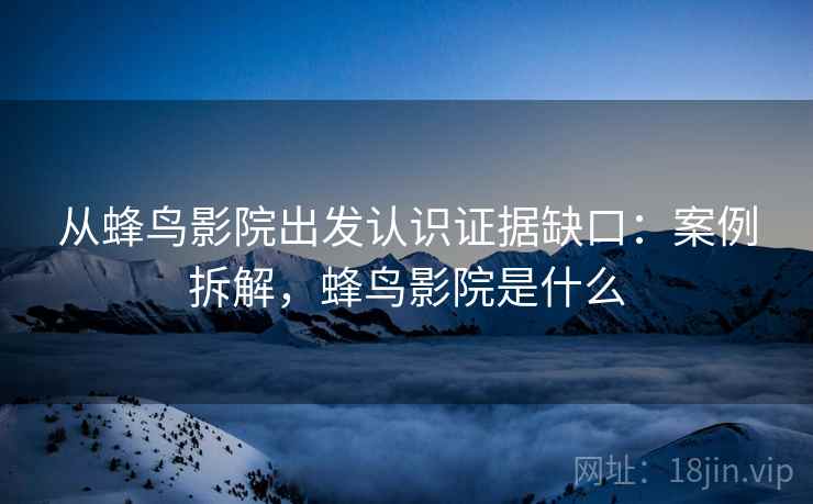 从蜂鸟影院出发认识证据缺口:案例拆解,蜂鸟影院是什么 从蜂鸟影院出发认识证据缺口:案例拆解,蜂鸟影院是什么