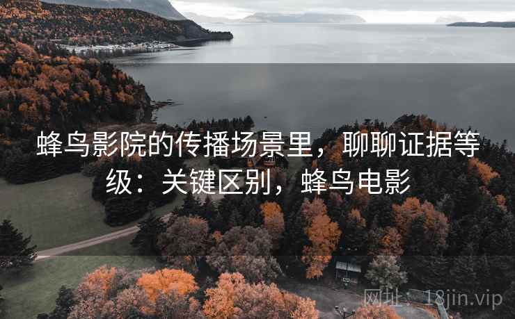 蜂鸟影院的传播场景里,聊聊证据等级:关键区别,蜂鸟电影 蜂鸟影院的传播场景里,聊聊证据等级:关键区别,蜂鸟电影